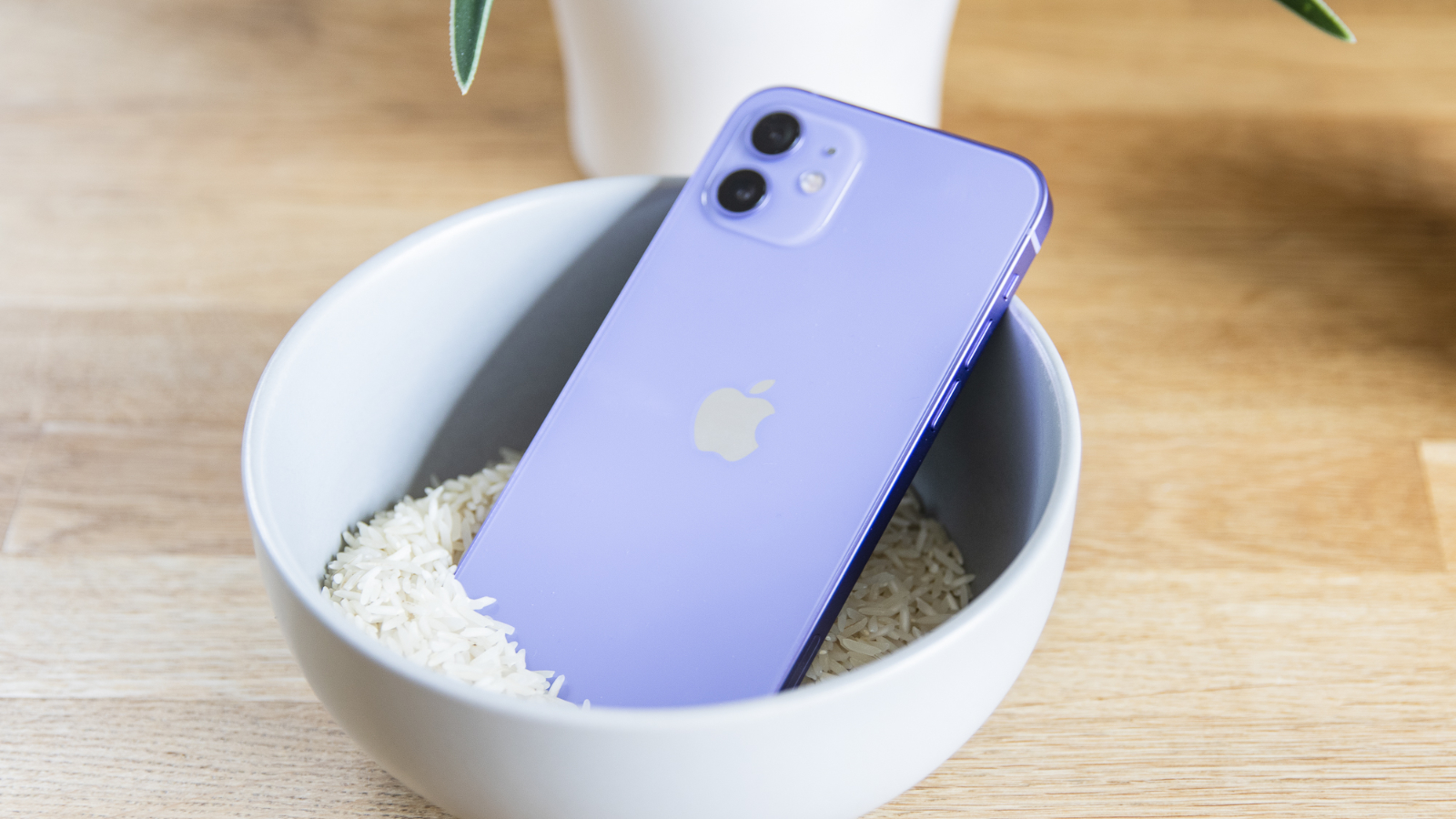 iPhone in a bowl of uncooked rice